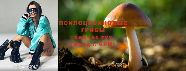 гидропоника Козельск