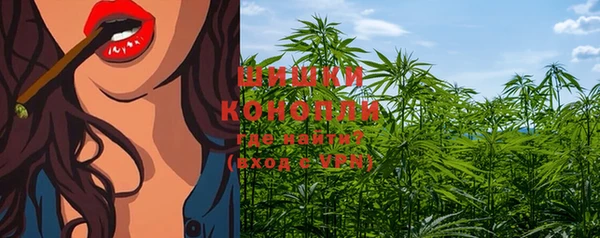 гидра Кодинск