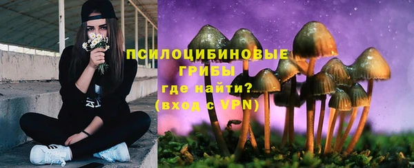 гидра Кодинск