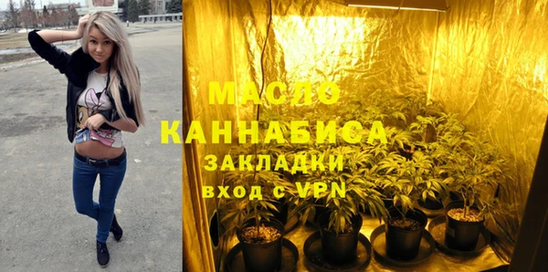 гидра Кодинск