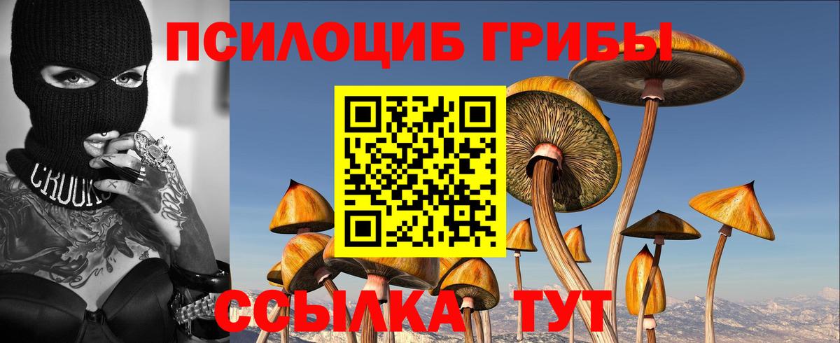 Волгоград  Галлюциногенные грибы MAGIC MUSHROOMS  Псилоцибиновые грибы GOLDEN TEACHER  Вход с VPN 