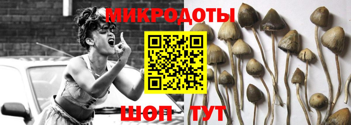 Галлюциногенные грибы мухоморы Волгоград