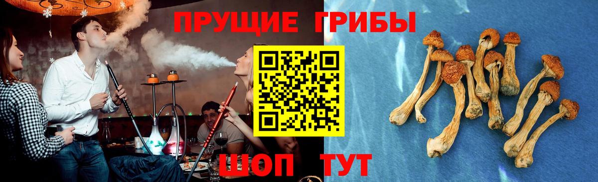 Галлюциногенные грибы MAGIC MUSHROOMS  Волгоград 